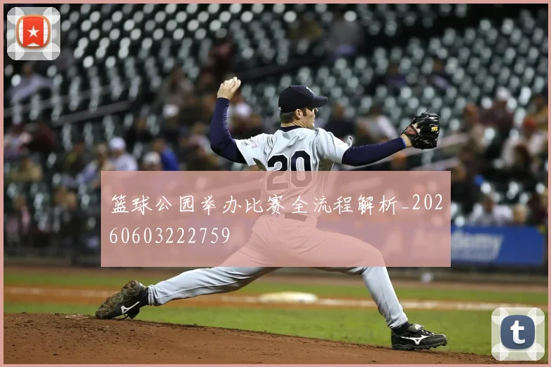 篮球公园举办比赛全流程解析_20260603222759