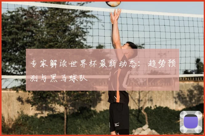 专家解读世界杯最新动态:趋势预测与黑马球队