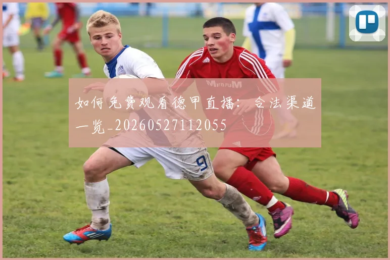 如何免费观看德甲直播：合法渠道一览_20260527112055