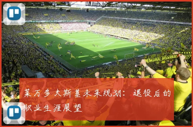 莱万多夫斯基未来规划：退役后的职业生涯展望