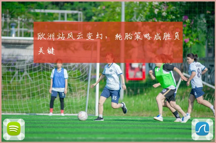 欧洲站风云变幻,轮胎策略成胜负关键