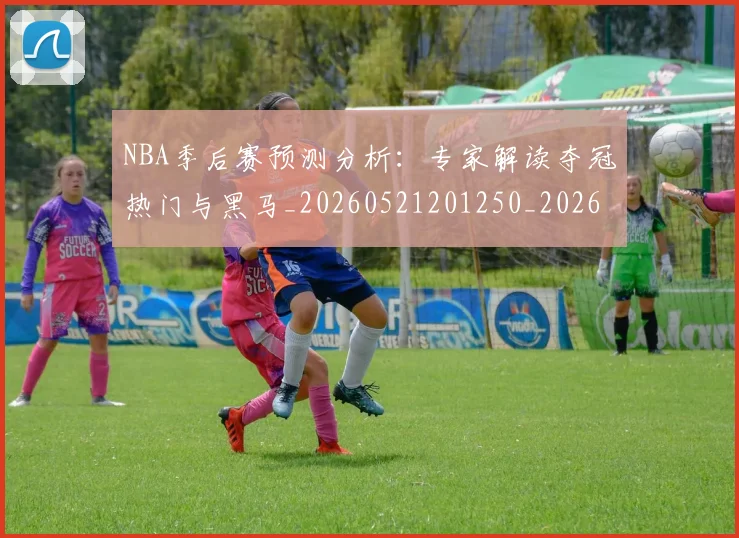 NBA季后赛预测分析：专家解读夺冠热门与黑马_20260521201250_20260702195016