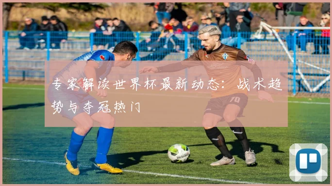 专家解读世界杯最新动态：战术趋势与夺冠热门